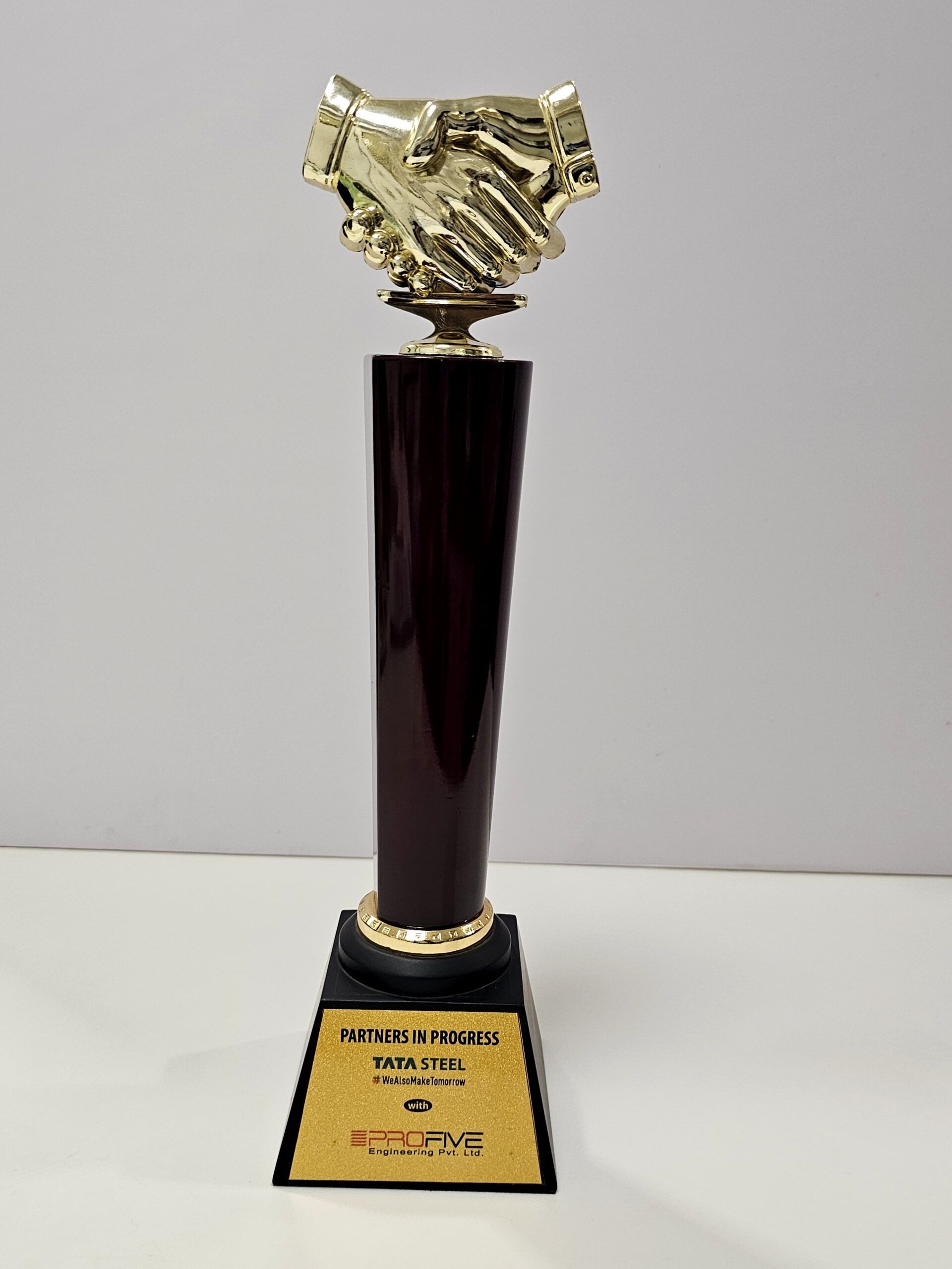 Partners in Progress Award